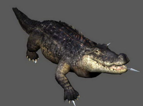Crocodile Attacking Animated Rigged