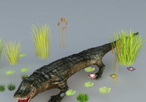 Crocodile And Grass Animal
