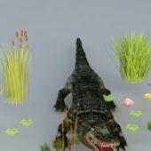 Crocodile Animal In Pond