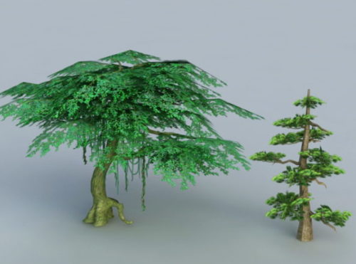 Cypress Banyan Tree