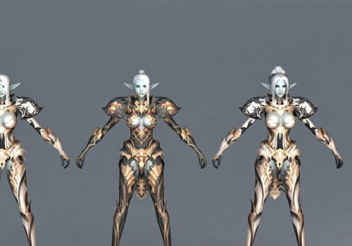 Game Character Elf Armor Set