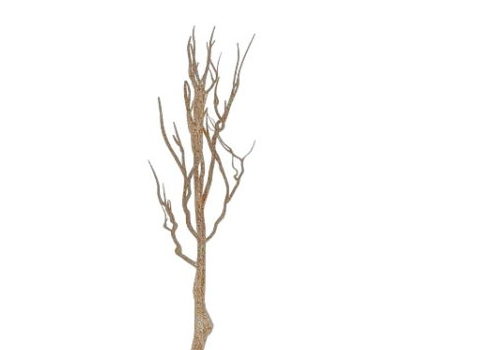 Dry Tree Branches