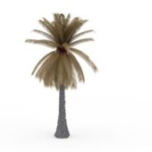 Wild Dead Palm Tree