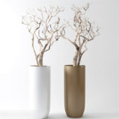 Living Room Decorative Tree Branches