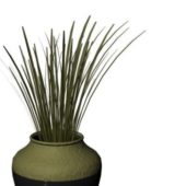 Vase Decorative Plant