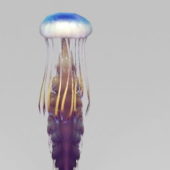 Sea Jellyfish Animal V1