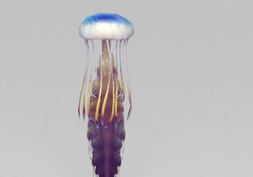 Sea Jellyfish Animal V1
