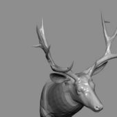 Deer Head Sculpture Animal