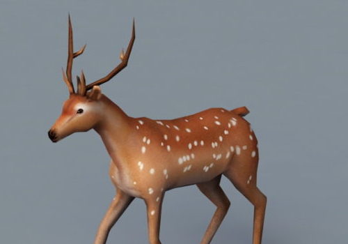 Deer Animal Rigged Animated