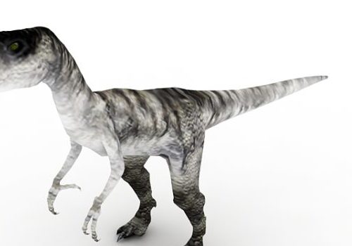 Ancient Deinonychus Dinosaur Animals