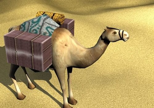 Desert Cargo Camel
