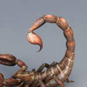 Desert Scorpion Animal