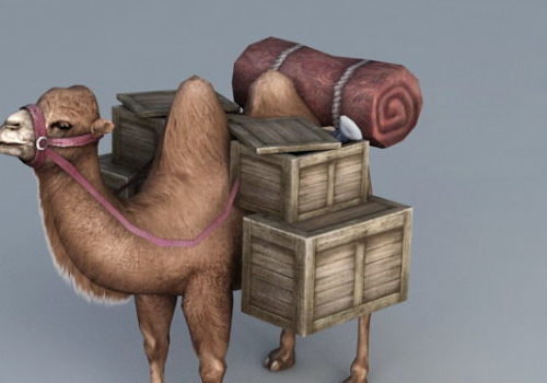 Desert Travel Camel Animal