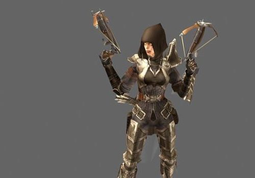 Diablo Gaming Character Demon Hunter Female Characters