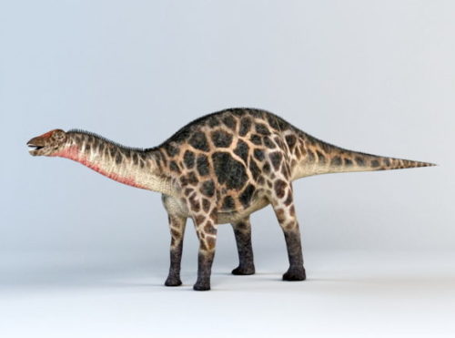 Dicraeosaurus Dinosaur Animal