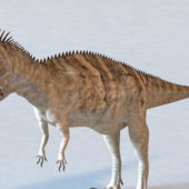Dinosaur Giganotosaurus | Animals