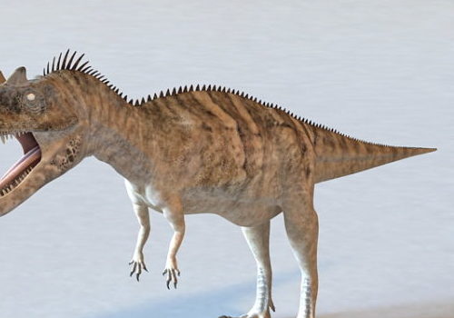 Dinosaur Giganotosaurus | Animals