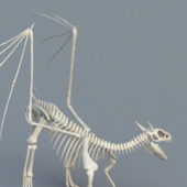 Dinosaur Skeleton With Wings