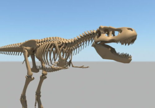 Dinosaur Skeleton Anatomy