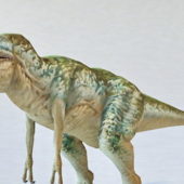 Dinosaur Tyrannosaurus Rex | Animals