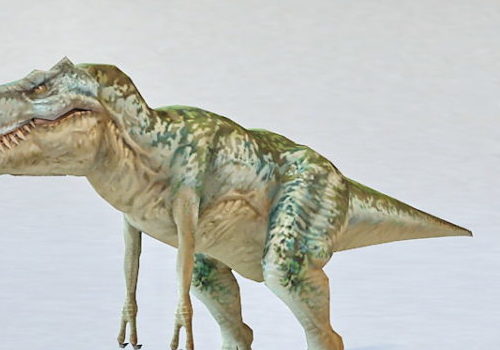 Dinosaur Tyrannosaurus Rex | Animals
