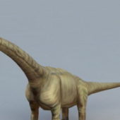 Diplodocus Dinosaur Animal