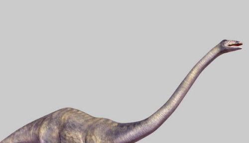 Diplodocus Dinosaur Animal V1