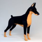 Animal Dobermann Dog