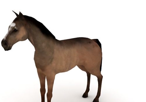 Brown Domestic Horse Animals