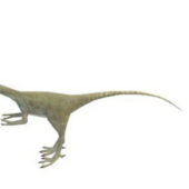 Dromaeosaurus Dinosaur Animals