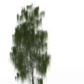 Green Drooping Willow Tree