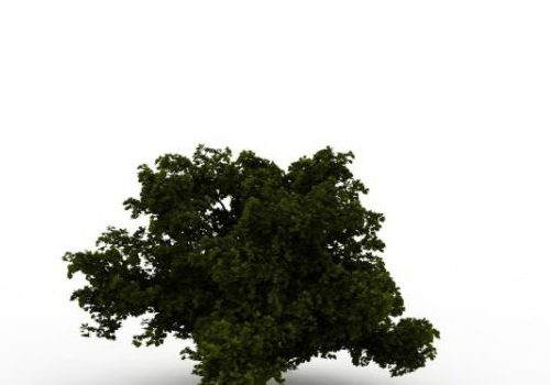 Nature Dwarf Tree