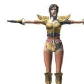Dynasty Warriors Character Characters