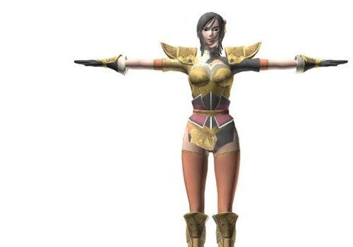 Dynasty Warriors Character Characters