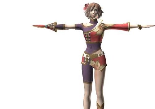 Female Character Dynasty Warriors Characters