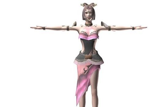 Dynasty Warriors Diaochan Female Character Characters