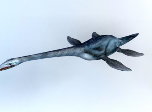 Animal Elasmosaurus Plesiosaurs Dinosaur