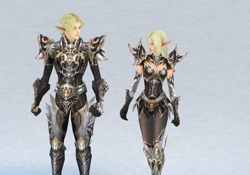 Elf Character Couple Warriors