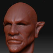 Terracotta Elf Male Head Characters