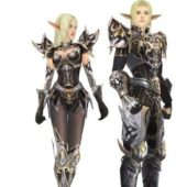 Elf Warrior Girl Character Armor Set Characters