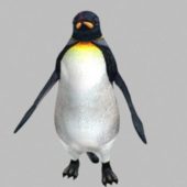 Animal Emperor Penguin