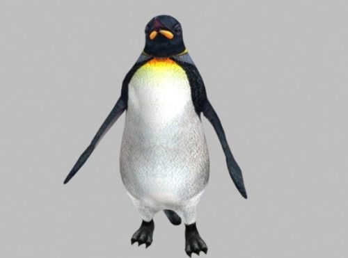 Animal Emperor Penguin