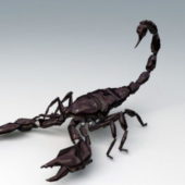 Black Emperor Scorpion Animal Rigged