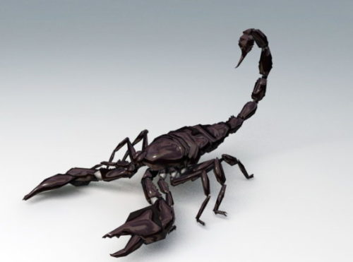 Black Emperor Scorpion Animal Rigged