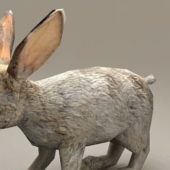 Realistic Rabbit Grey | Animals