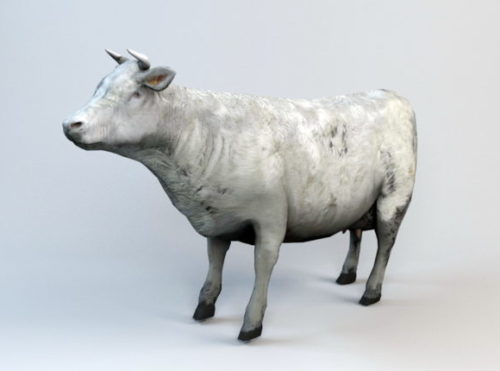 Animal Farm Cow Animated Rig