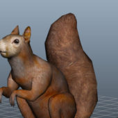 Animal Fat Squirrel