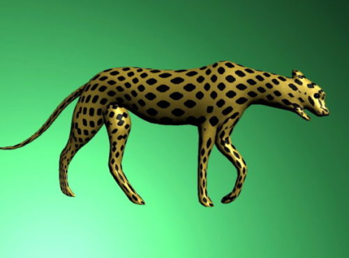 Female Cheetah Animal