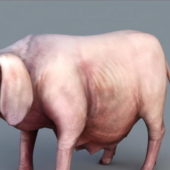 Fat Pig