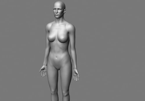 Female Body Base Mesh | Characters